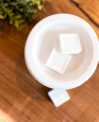 Rain on an Old Tin Roof | Soy Wax Melts