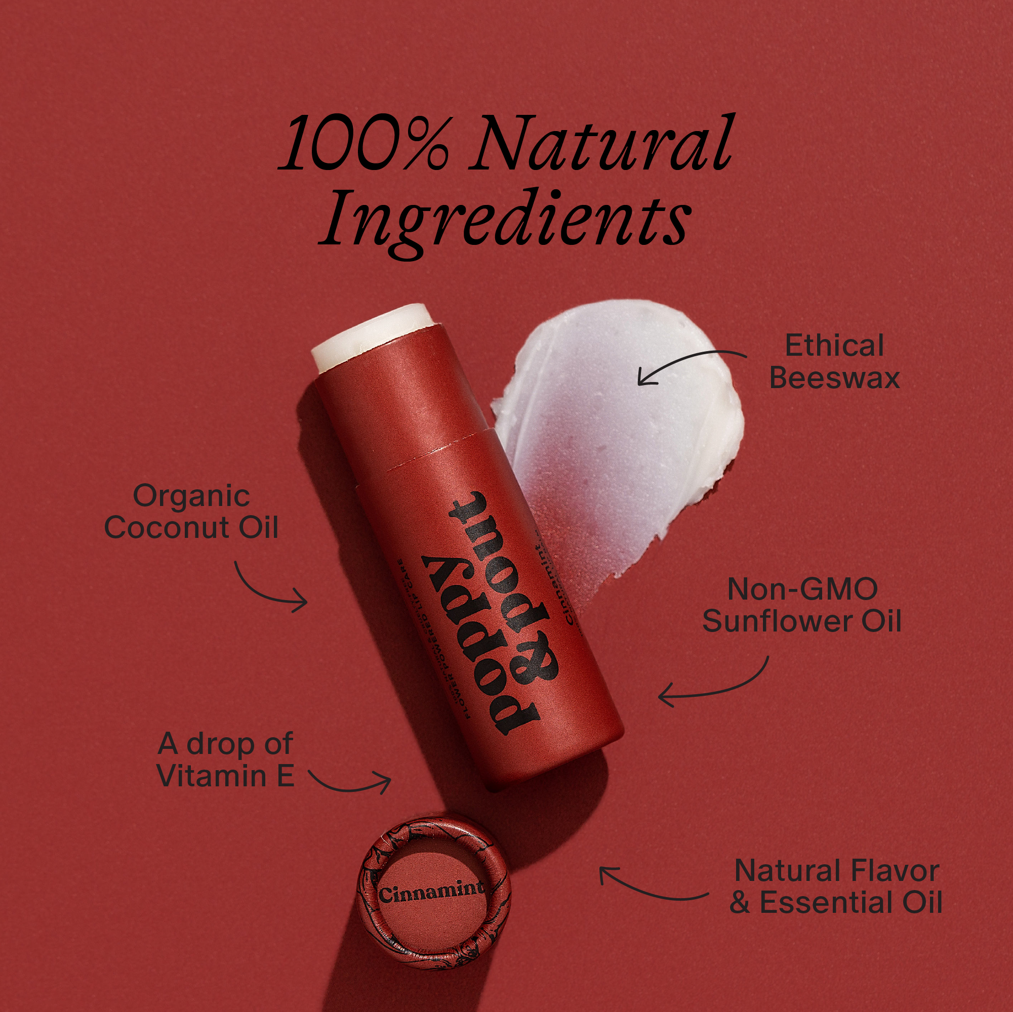 Lip Balm | Cinnamint