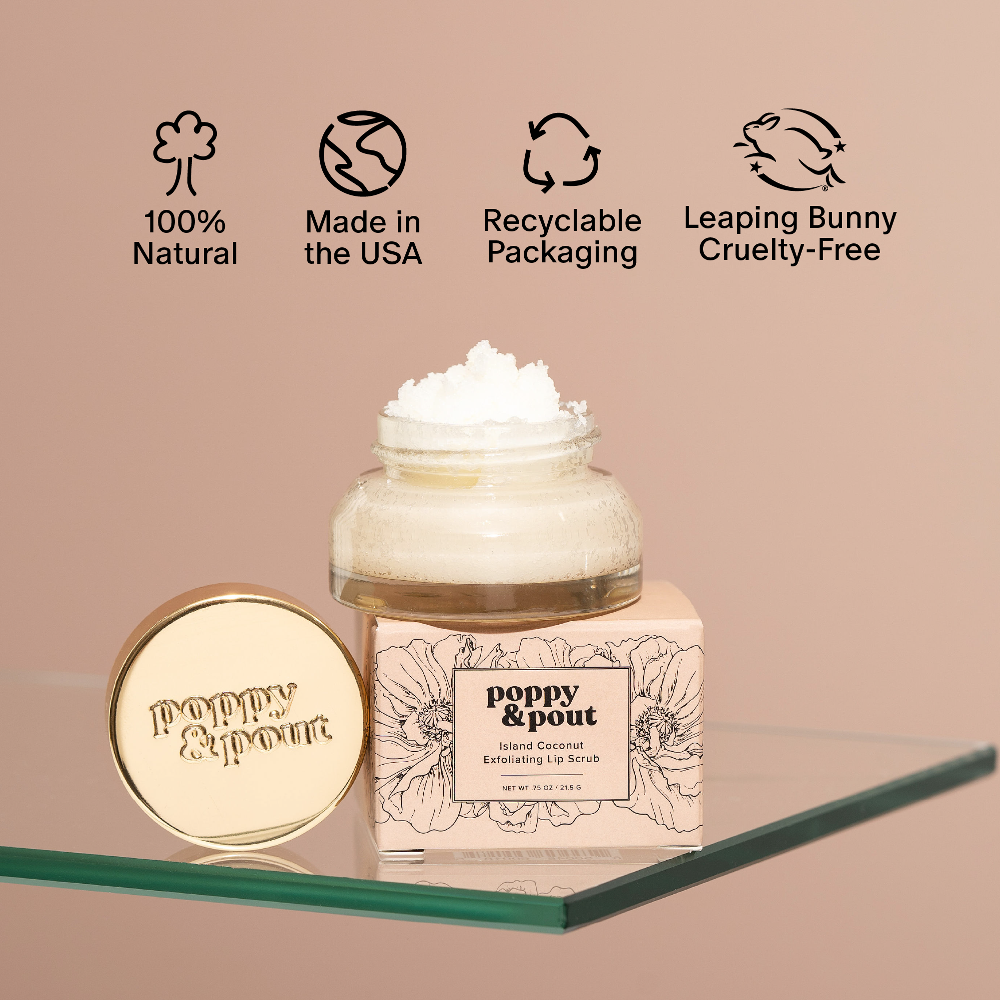 Lip Scrub | Island Coconut