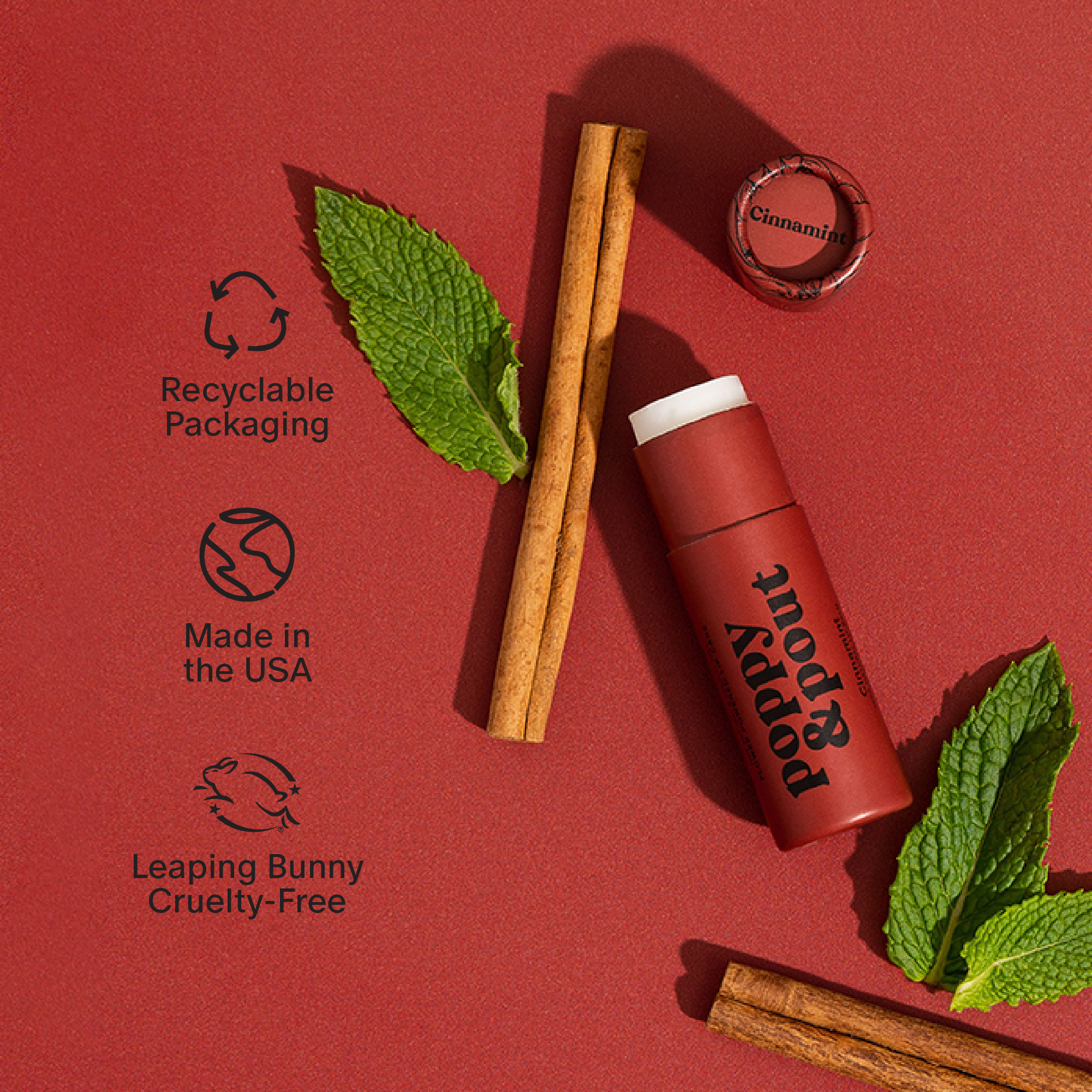 Lip Balm | Cinnamint
