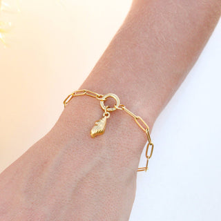 Paperclip with Charm Keeper Chain Bracelet | Stainless Steel + 18K PVD