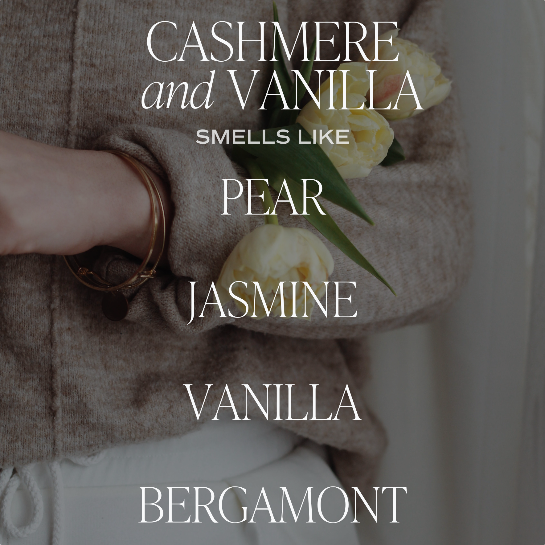 Cashmere and Vanilla | 11 oz Soy Candle