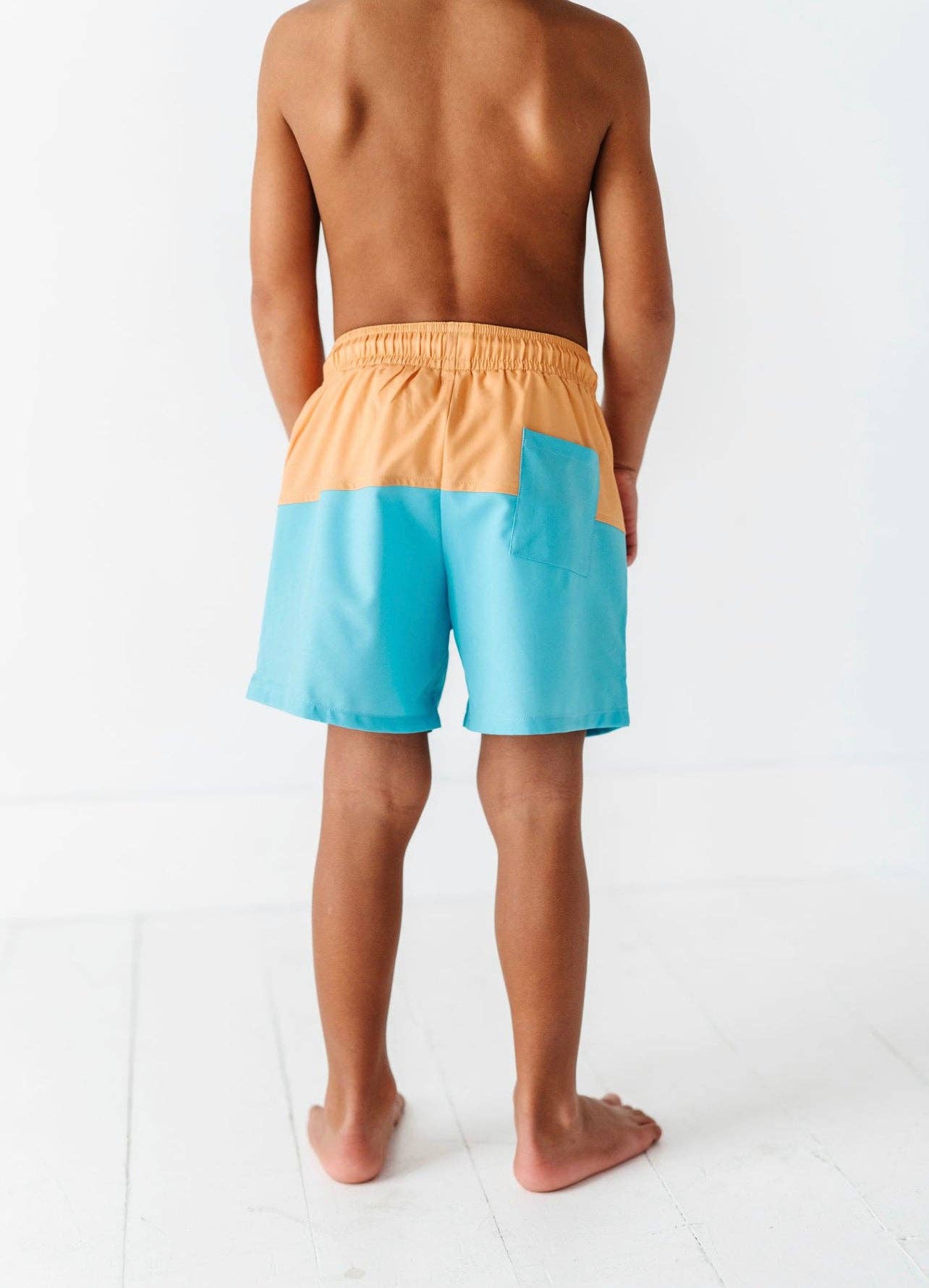 Aqua Swim Shorts